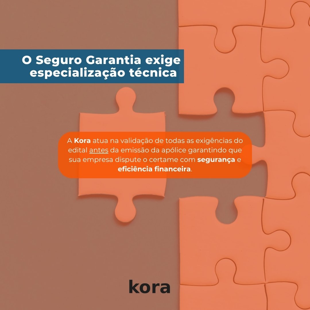 Seguro para licitações e contratos