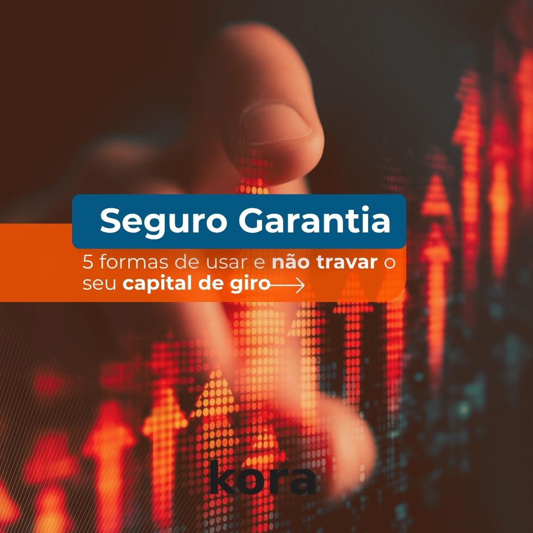 Seguro garantia